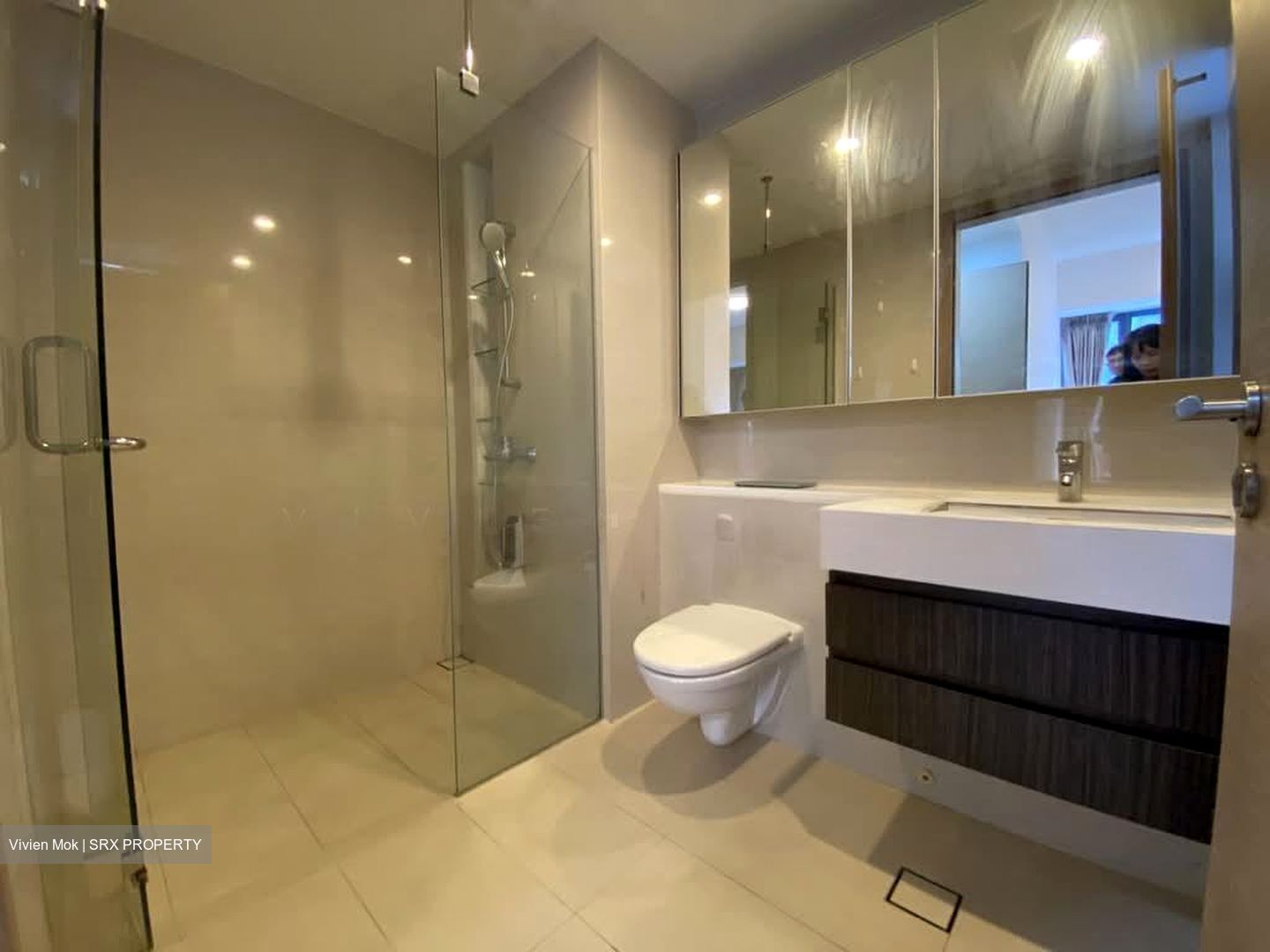 The Palette (D18), Condominium #587648041